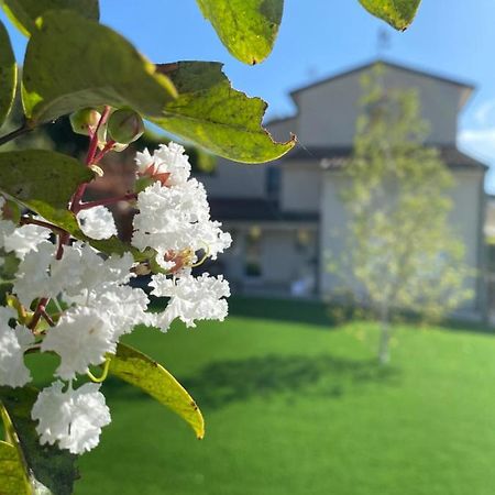 Civiconr3 Guest House Sona Eksteriør bilde